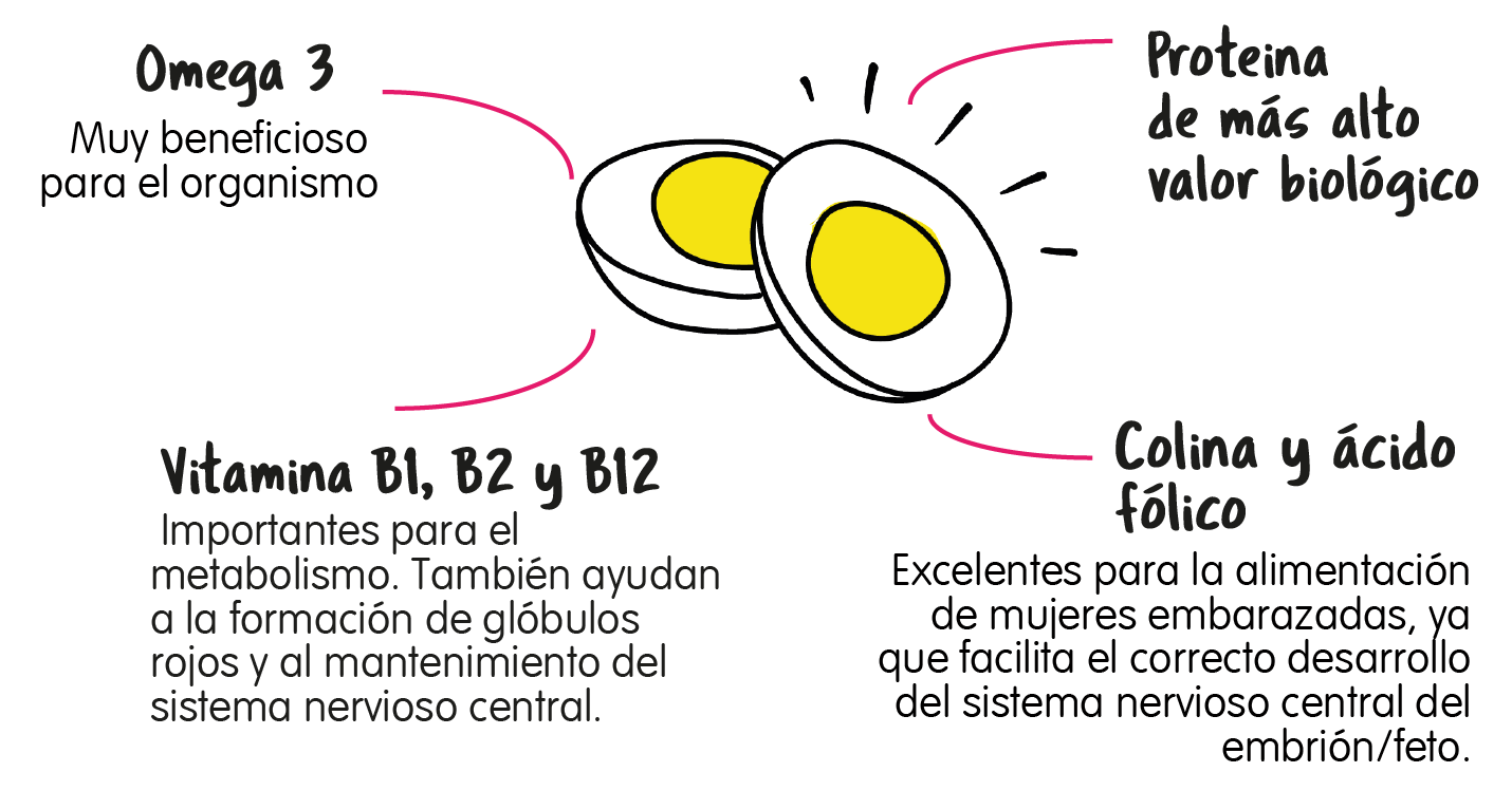 huevo1