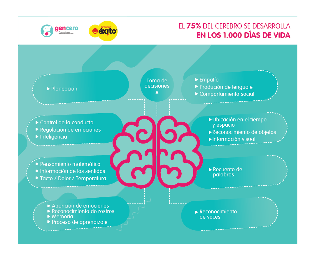 cerebro