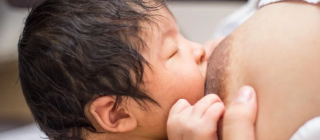 Mamatices - Lactancia exclusiva