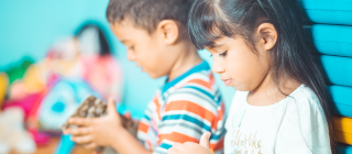 ¿La desnutrición crónica es lo mismo que la  malnutrición?