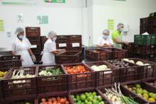 fotografía de un deposito de alimentos