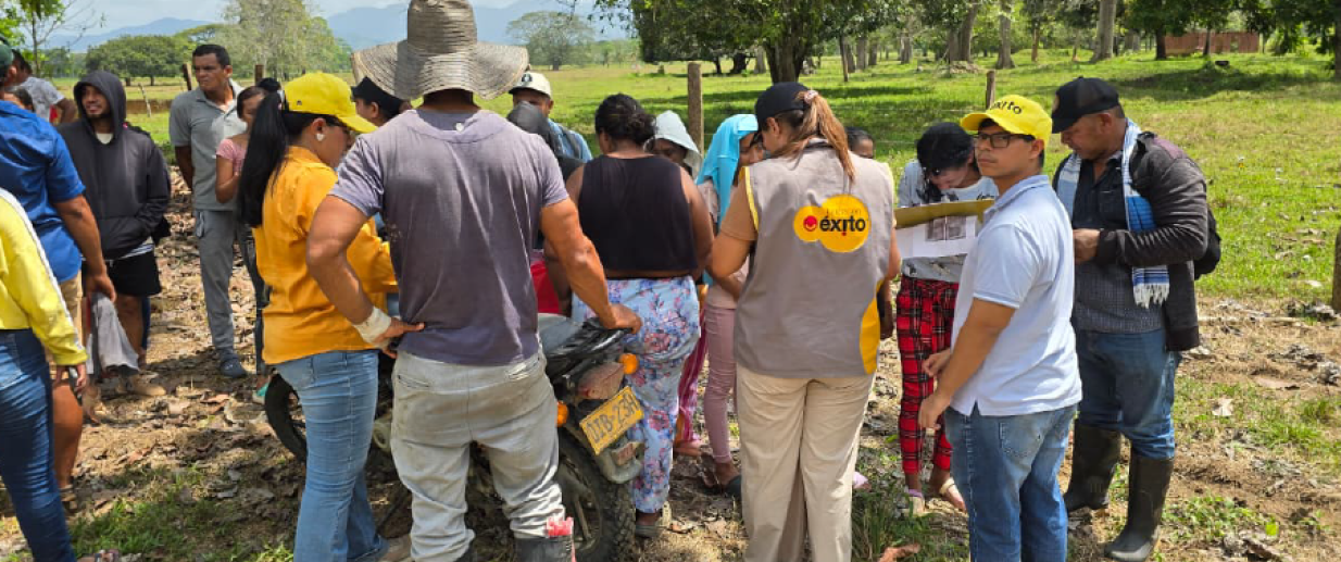 entrega mercados fundacion exito